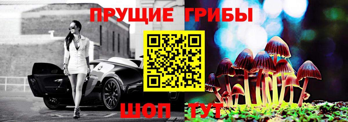 Псилоцибиновые грибы MAGIC MUSHROOMS  Галлюциногенные грибы GOLDEN TEACHER  Вход с VPN  Севастополь 