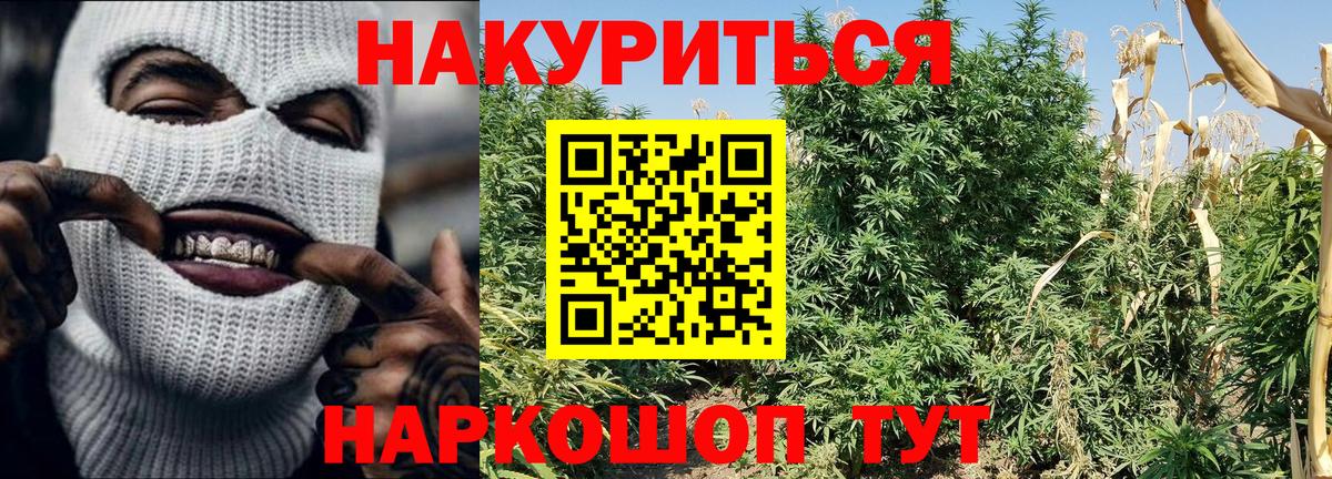 Севастополь  Каннабис LSD WEED  Конопля OG Kush  Вход с VPN  Бошки марихуана семена 